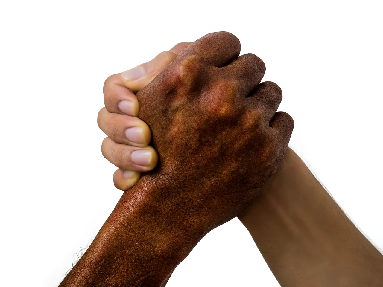hands, grab hands, friend, grabbing hands, handshake, teamwork, friendship, hand shake, meeting, greeting, harmony, harmony in diversity, peace, handshake, handshake, handshake, handshake, hand shake, hand shake, hand shake, hand shake, hand shake