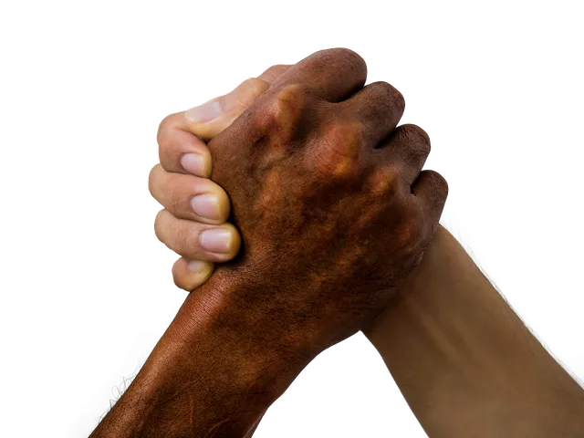 hands, grab hands, friend, grabbing hands, handshake, teamwork, friendship, hand shake, meeting, greeting, harmony, harmony in diversity, peace, handshake, handshake, handshake, handshake, hand shake, hand shake, hand shake, hand shake, hand shake. Recognising an alliance with no clear customer benefit